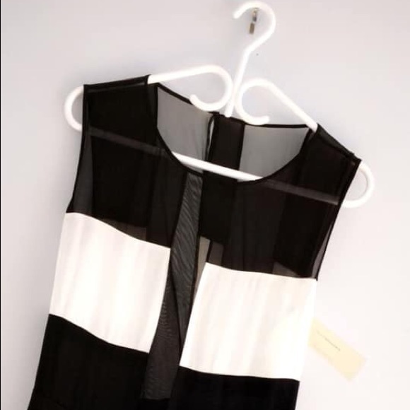 Black and White Semi Sheered Dress. - Picture 2 of 2